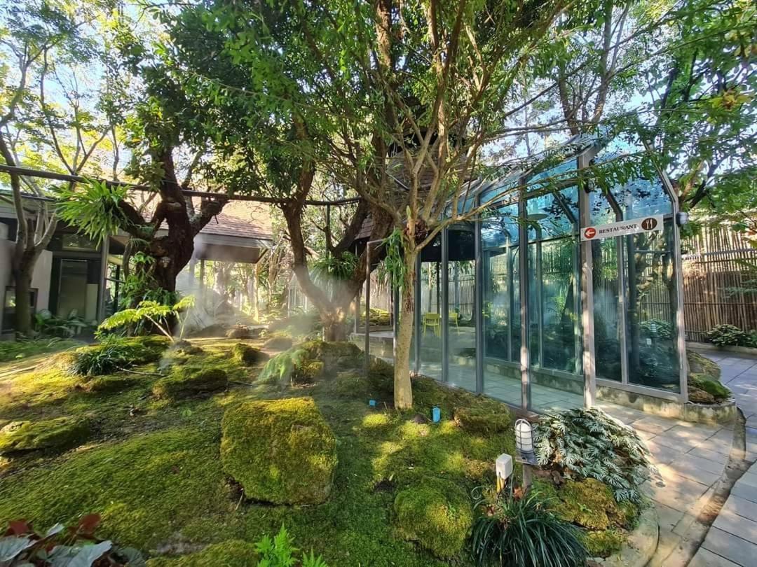 Treescape Resort Chiangmai Chiang Mai Luaran gambar