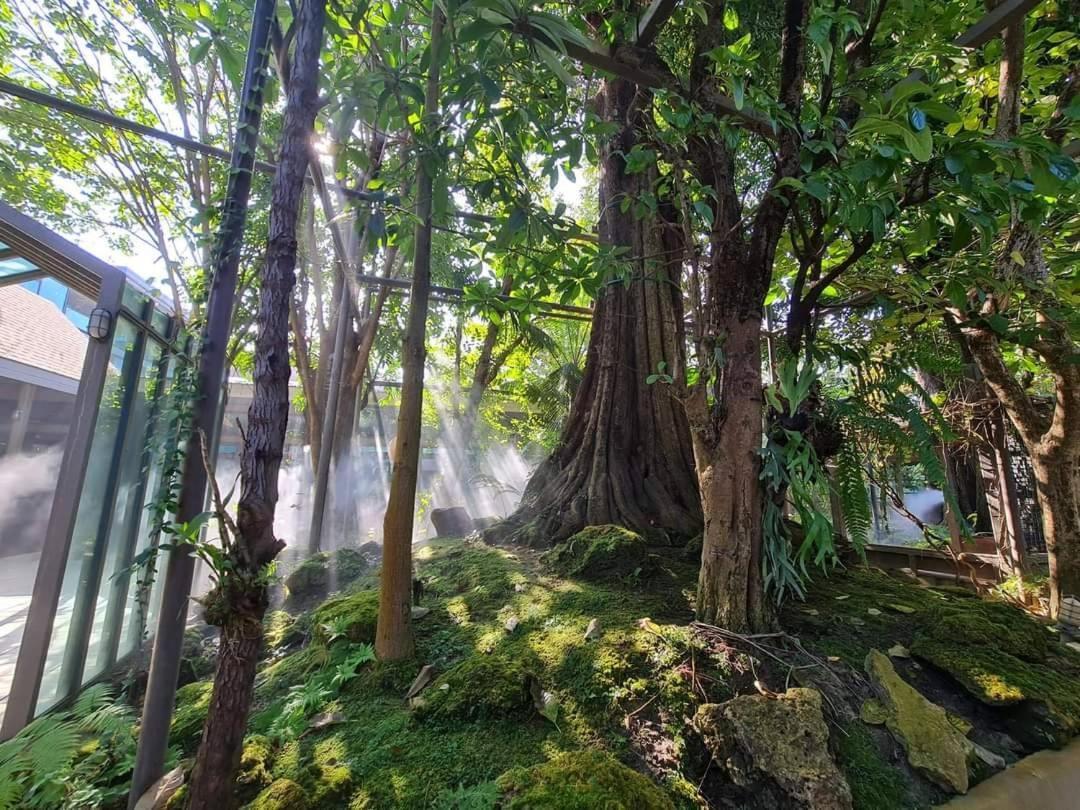 Treescape Resort Chiangmai Chiang Mai Luaran gambar