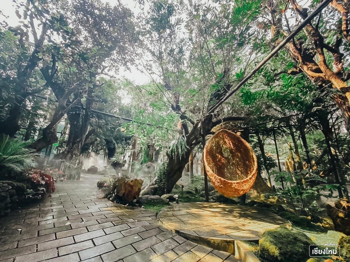 Treescape Resort Chiangmai Chiang Mai Luaran gambar