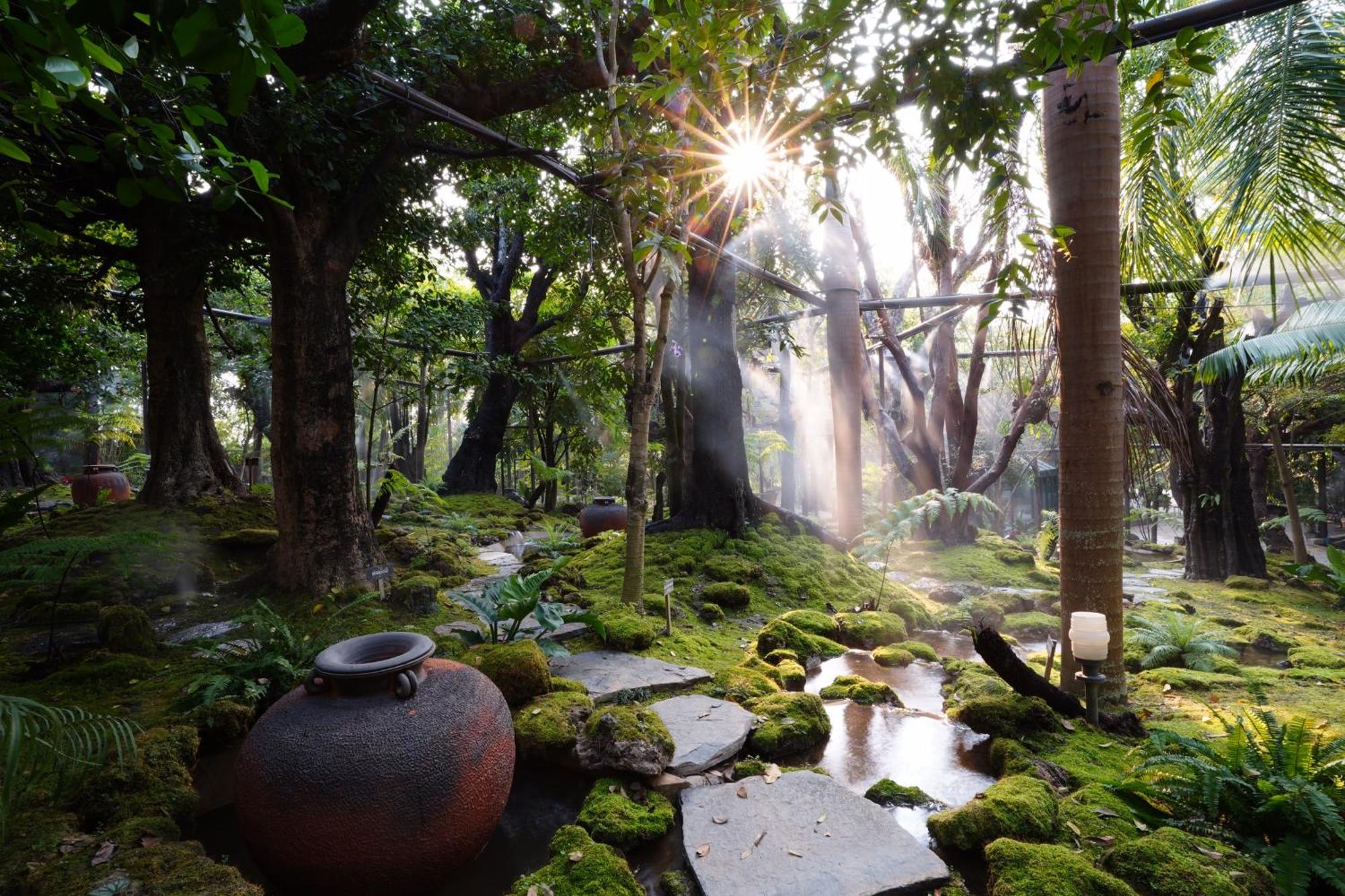 Treescape Resort Chiangmai Chiang Mai Luaran gambar