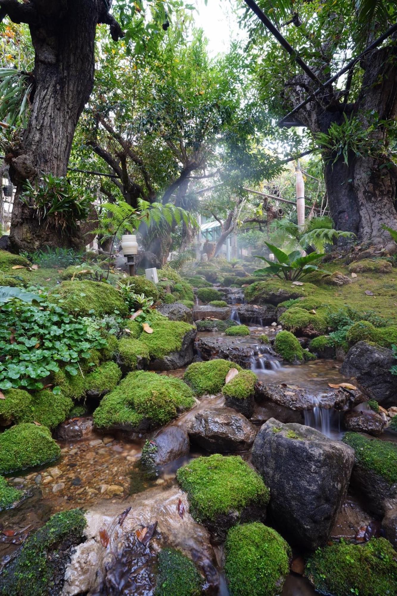Treescape Resort Chiangmai Chiang Mai Luaran gambar